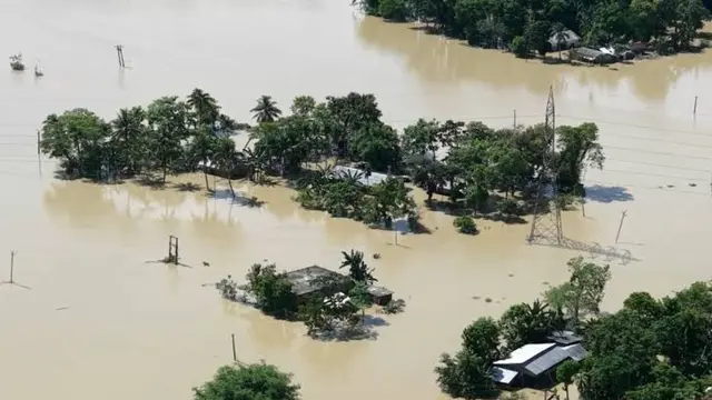 asam flood