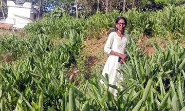 item of aswathi