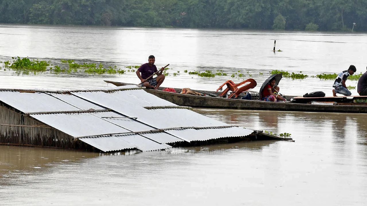 assam.