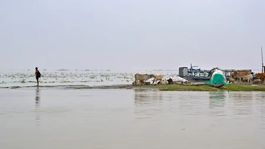 Assam Flood