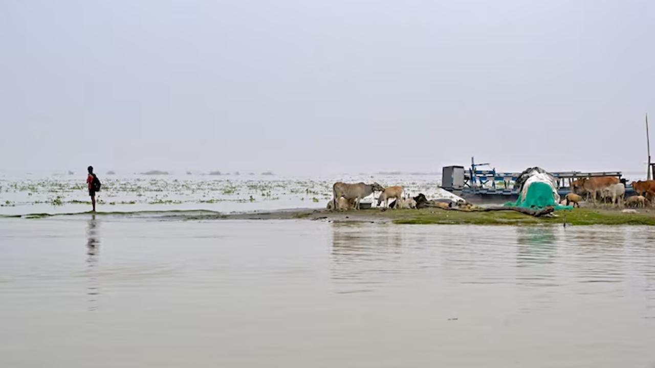 Assam Flood 