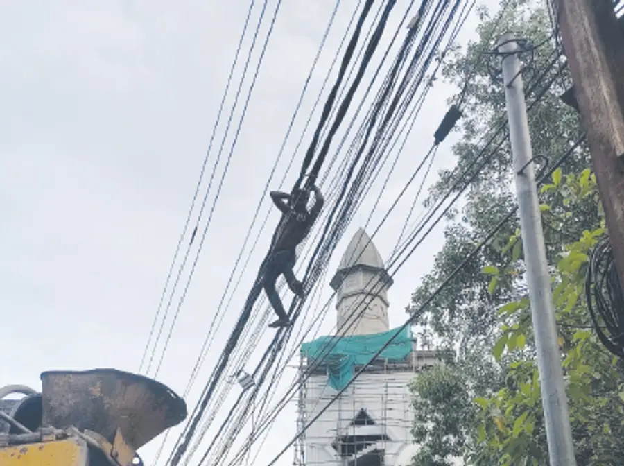 Suicide attempt