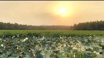 ആയഞ്ചേരി തുരുത്ത്