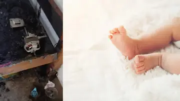 Baby