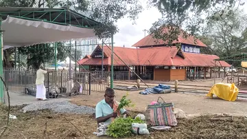Karkkadaka Vavu