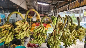 banana market