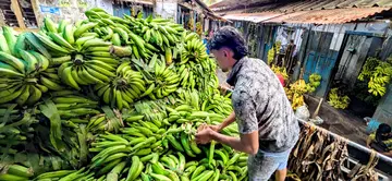banana