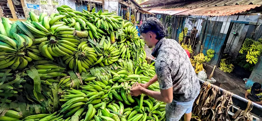 banana