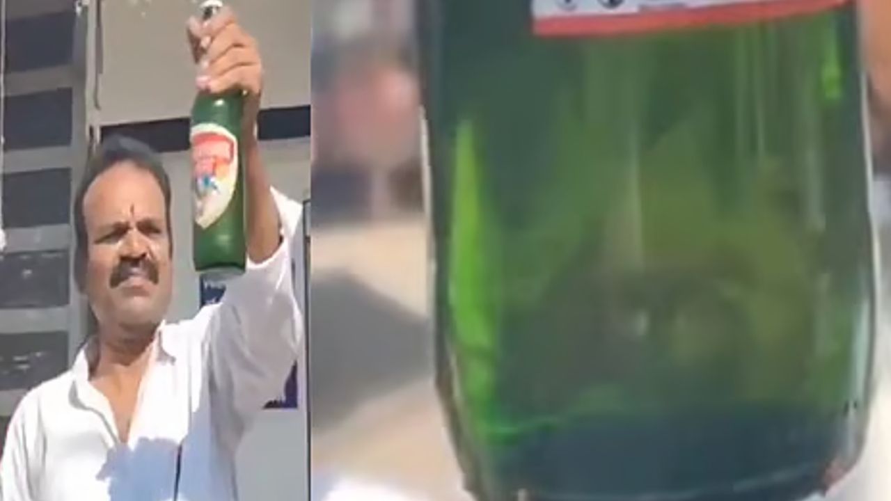 beer