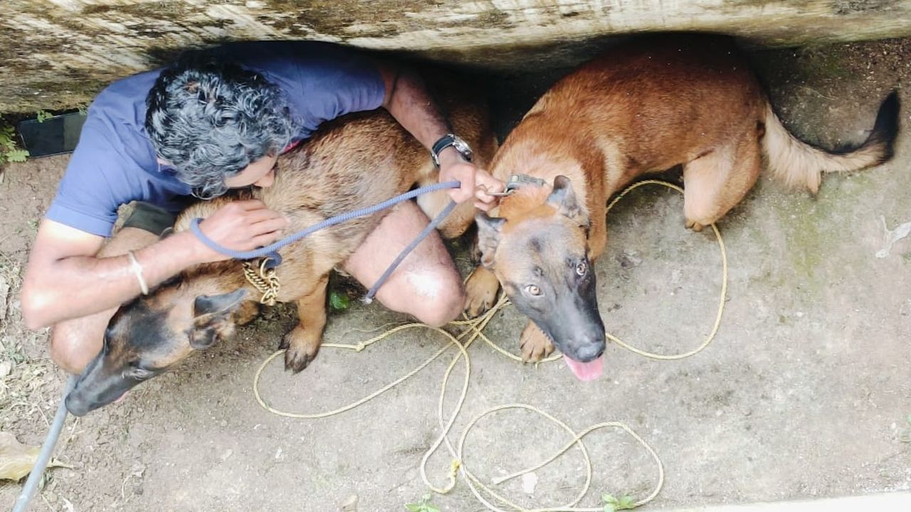 belgian malinois attack kazhakkoottam