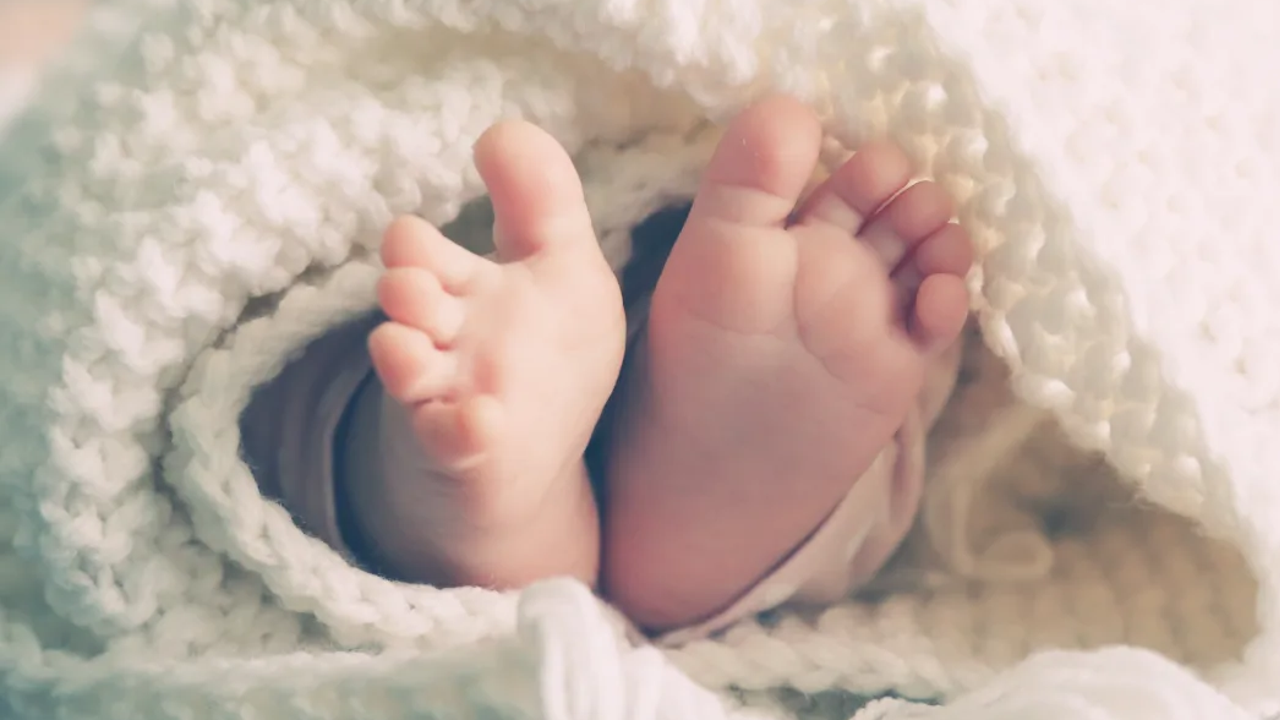 newborn 