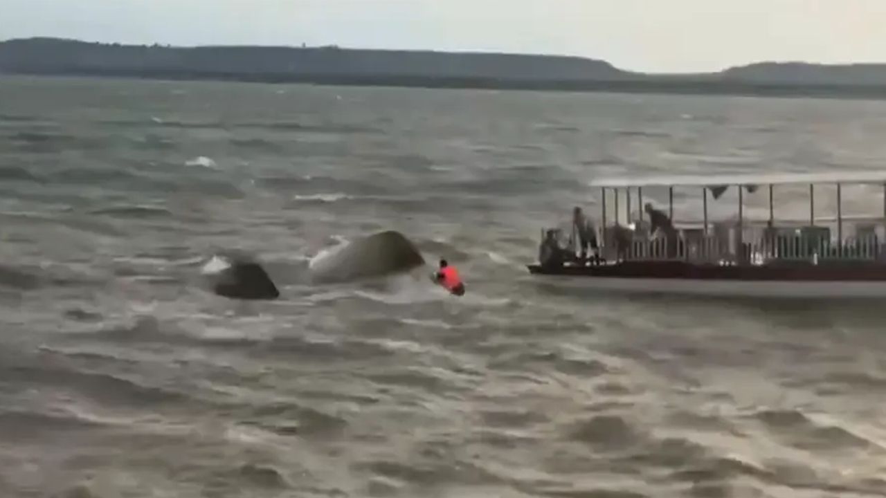 bhopal boat accident