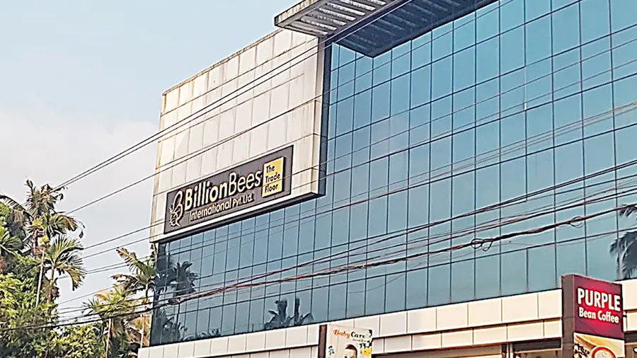 billlion bees
