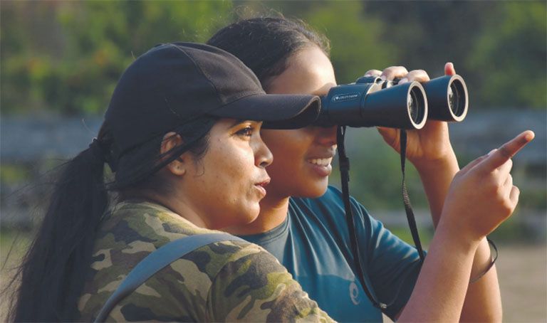 great backyard bird count