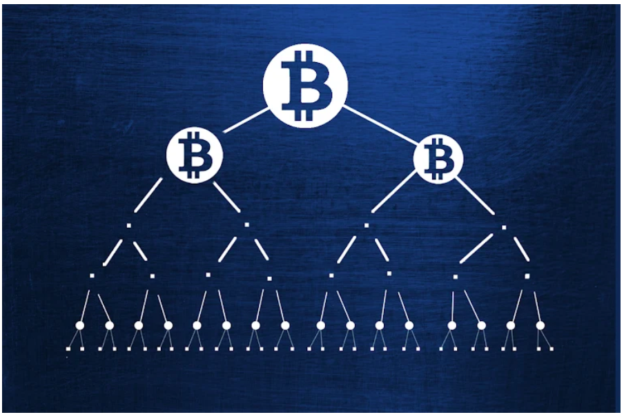 bit coin chain