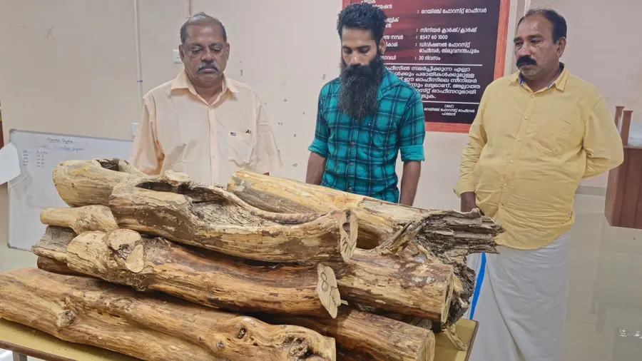 bjp Sandalwood smuggling.JPG