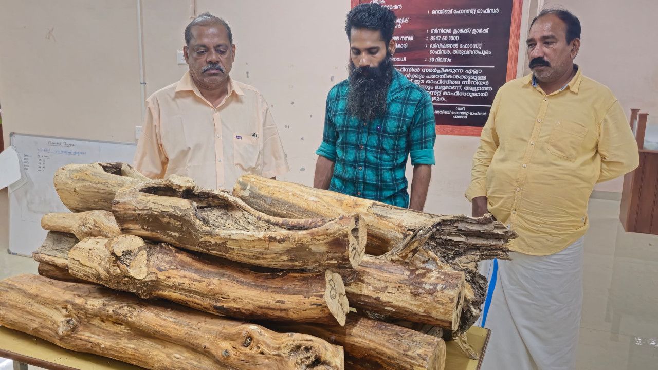 bjp Sandalwood smuggling.JPG