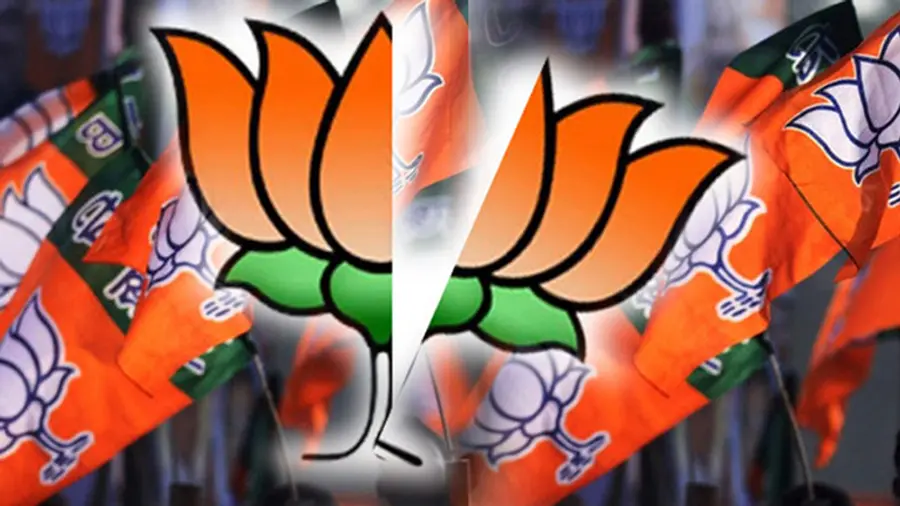 bjp jumbo core committee