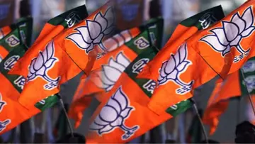 bjp flag