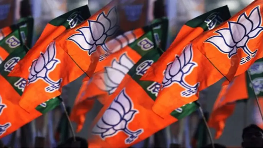 bjp flag