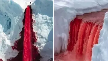 blood falls_antartica