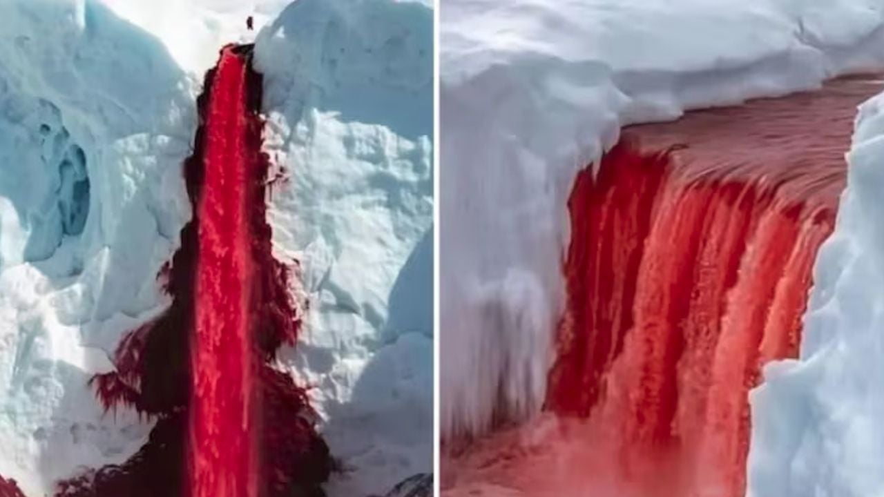 blood falls_antartica