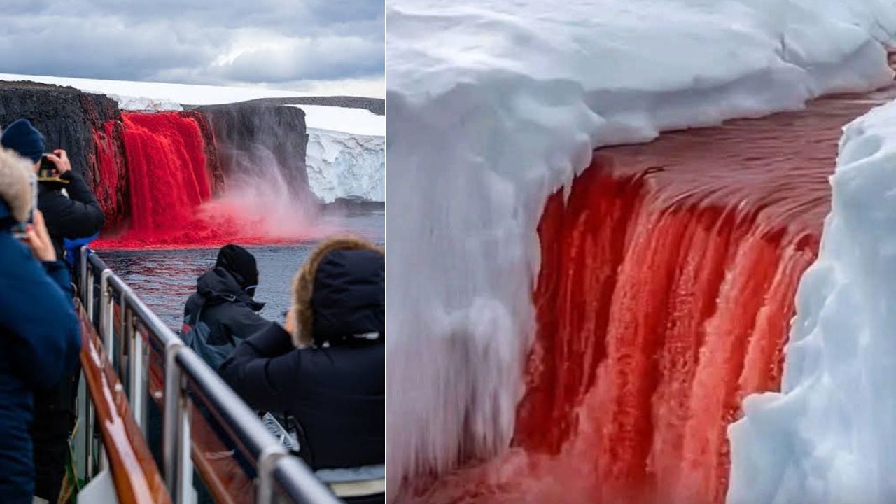 blood falls_antartica
