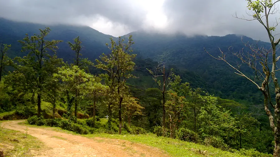 ബോണക്കാട്