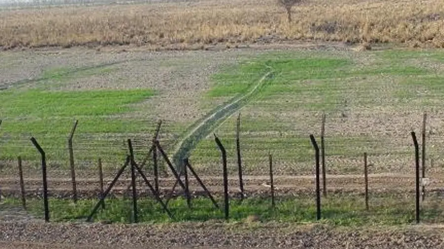 border field