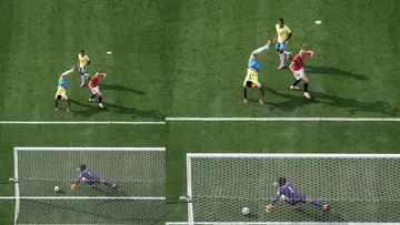 brazil fifa