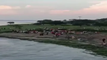 bsf rescue