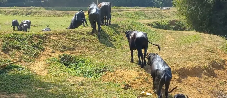 കബനീ തീരങ്ങളില്‍