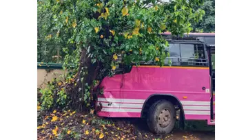 bus accident