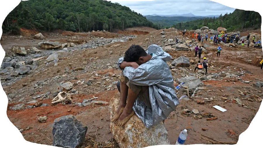  മേപ്പാടി 