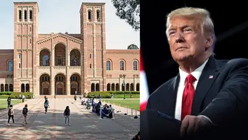 california university trump