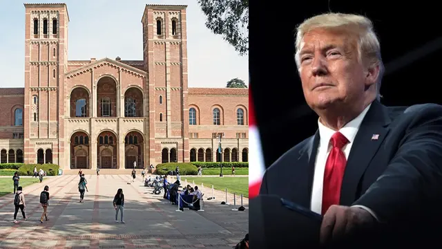 california university trump