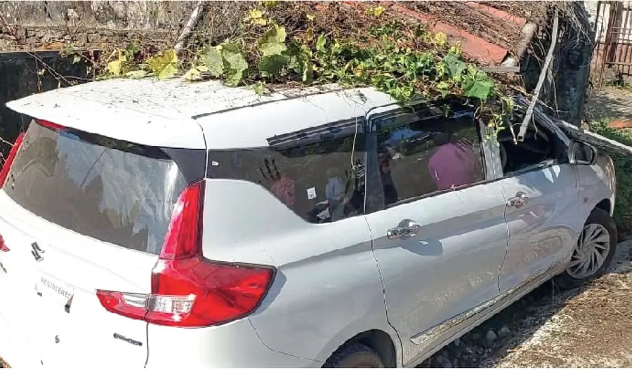 car accident