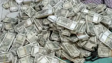 cash.jpg