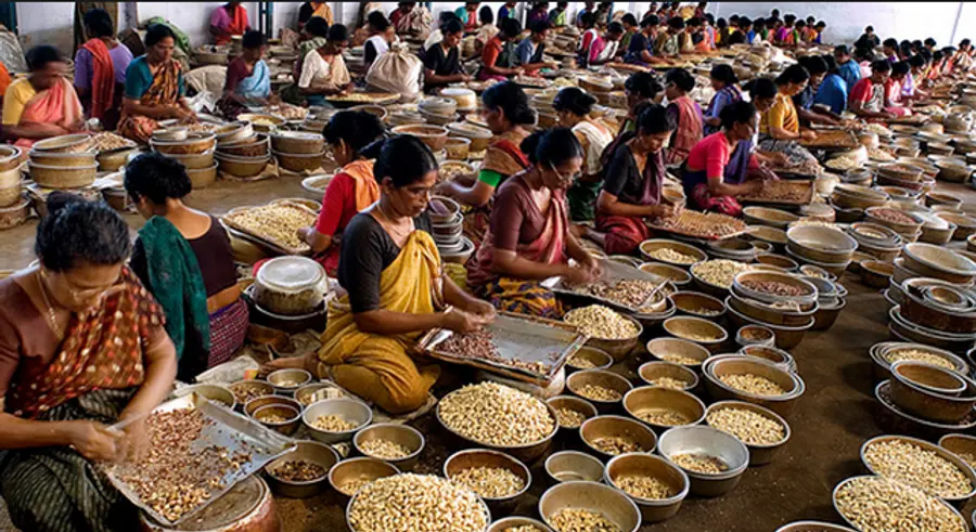 cashew industries in kerala