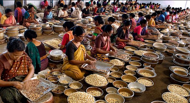 cashew industries in kerala