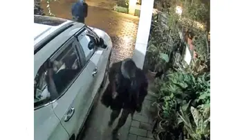 Attempted theft