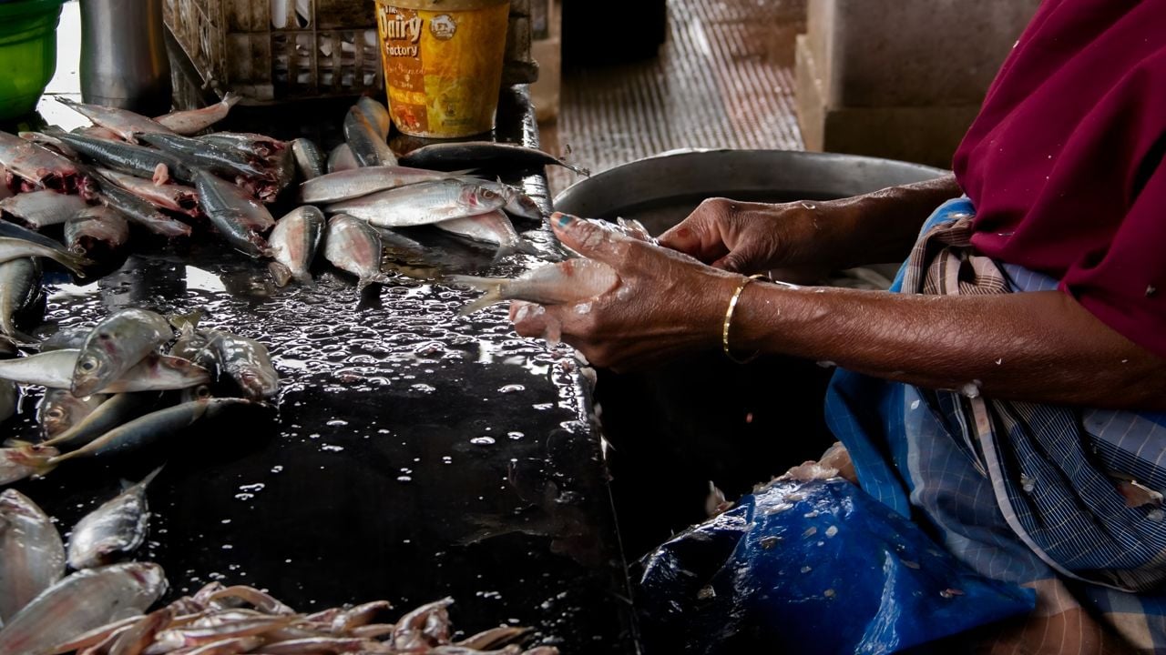അതിജീവനത്തിന്റെ കൈവേഗത..