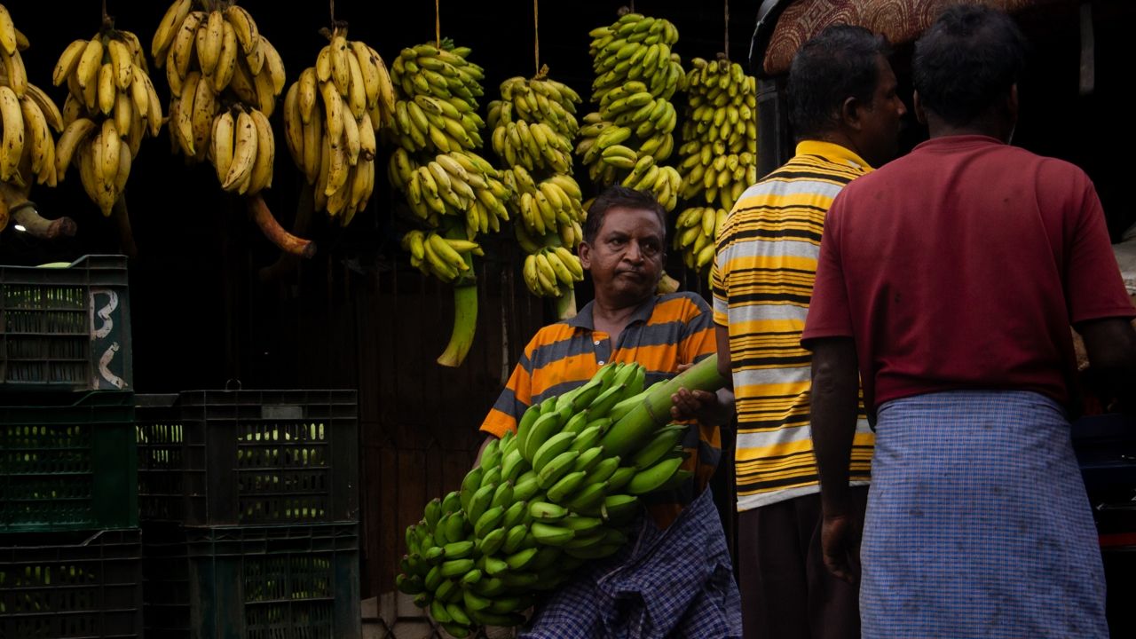 ചുമലിലേറ്റിയ ജീവിതങ്ങളും കരുതലായ കൈകളും