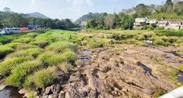 periyar