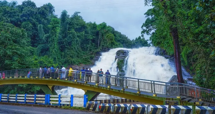 ചാർപ്പ വെള്ളച്ചാട്ടത്തിന് കുറുകെ നിർമിച്ച നടപ്പാലം