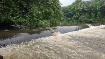 Check dam