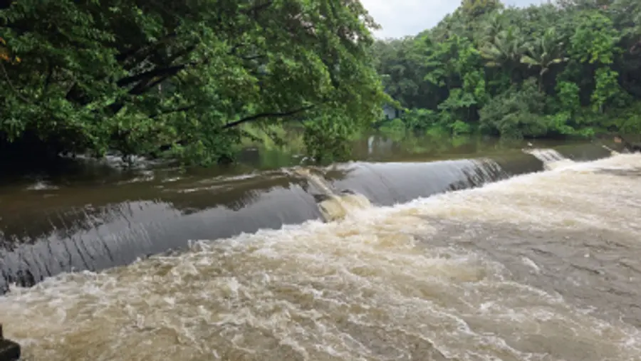 Check dam