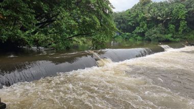 Check dam