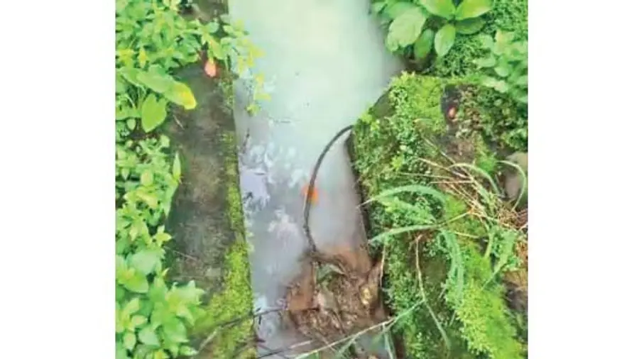 Sewage disposal