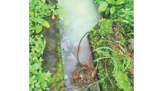 Sewage disposal